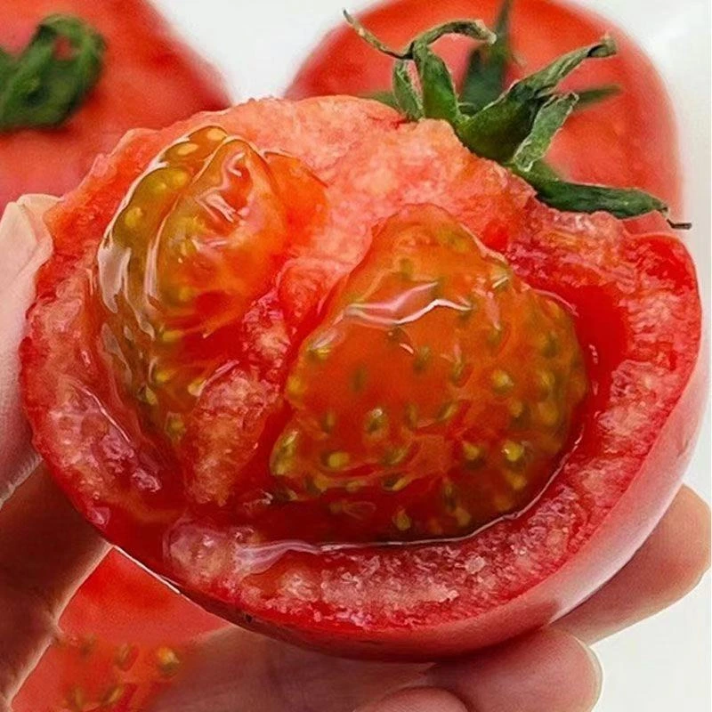 3/5斤老品种沙瓤西红柿酸甜口感非新鲜自然熟番茄蔬菜