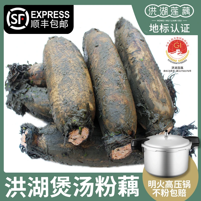 【华贵】湖北洪湖莲藕正宗洪湖新鲜煲汤粉藕3斤/5斤