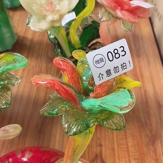 琉璃夜光花高45厘米