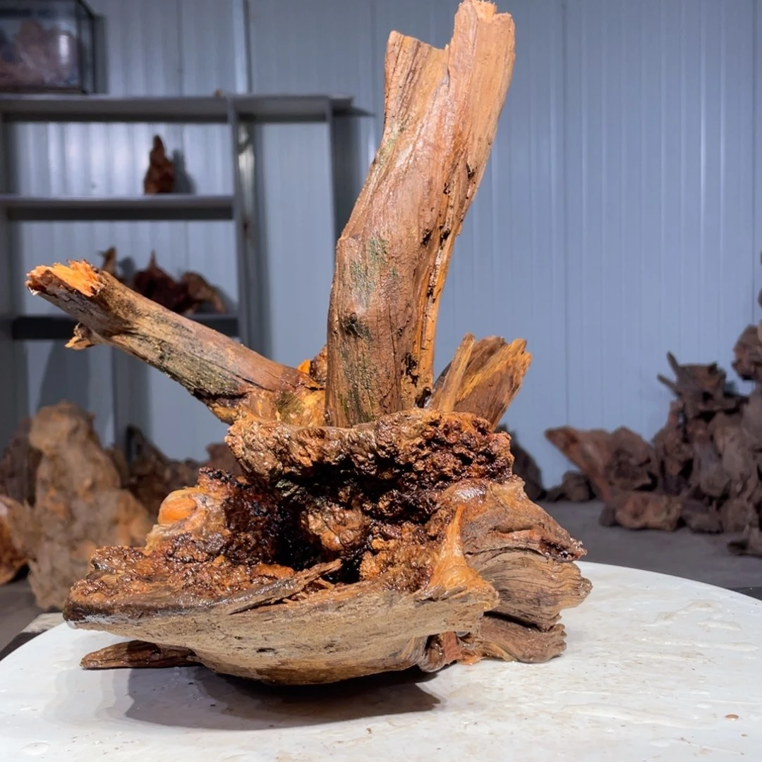 六***刀木猛子琥珀木摆件13