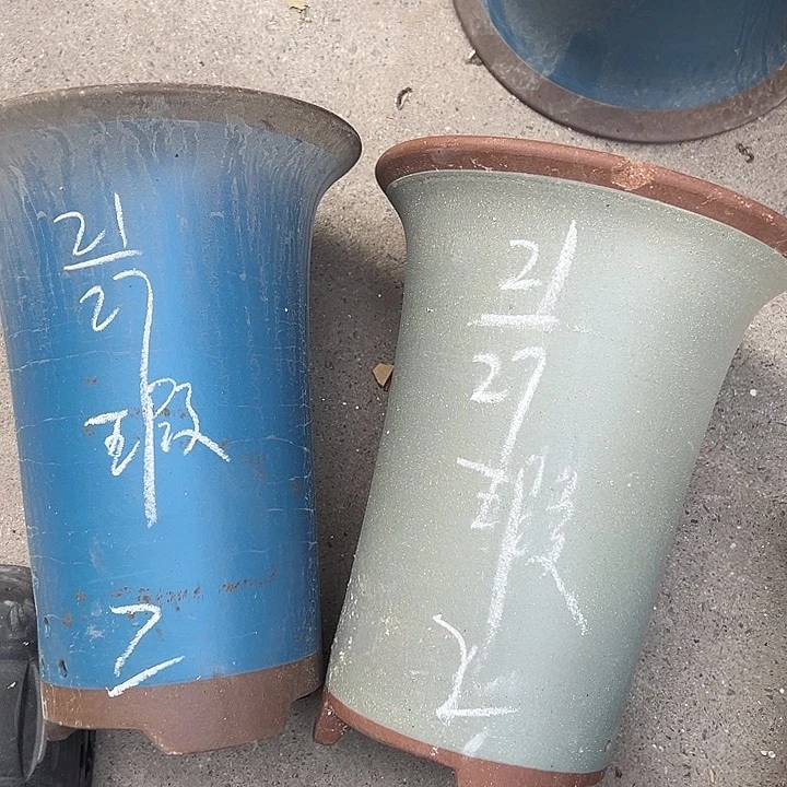 董事长说着说着实在是