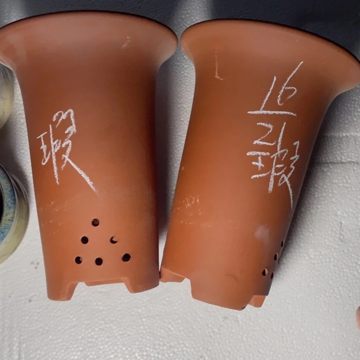 真实真实真实真实学生