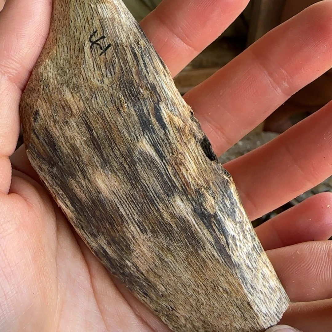 沉香沉香碎屑41号奇楠沉香原木一个