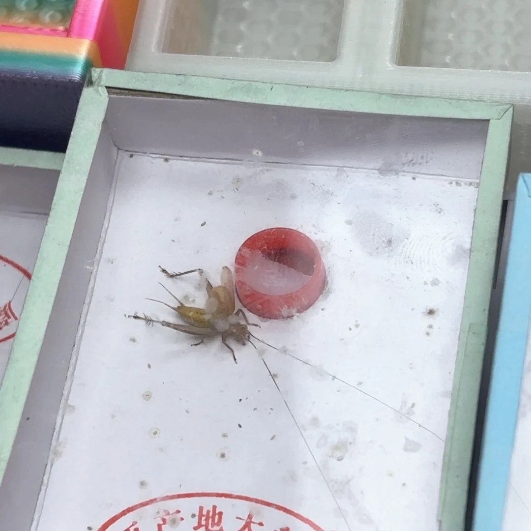 哈哈哈哈哈哈哈哈