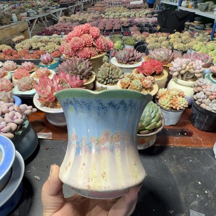 特价花盆满50发货 内口11