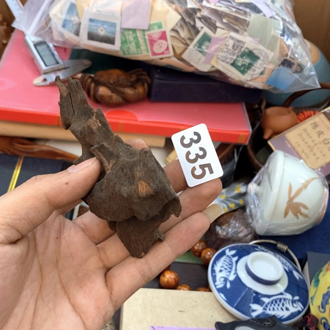 瓷片新号开播福利多多