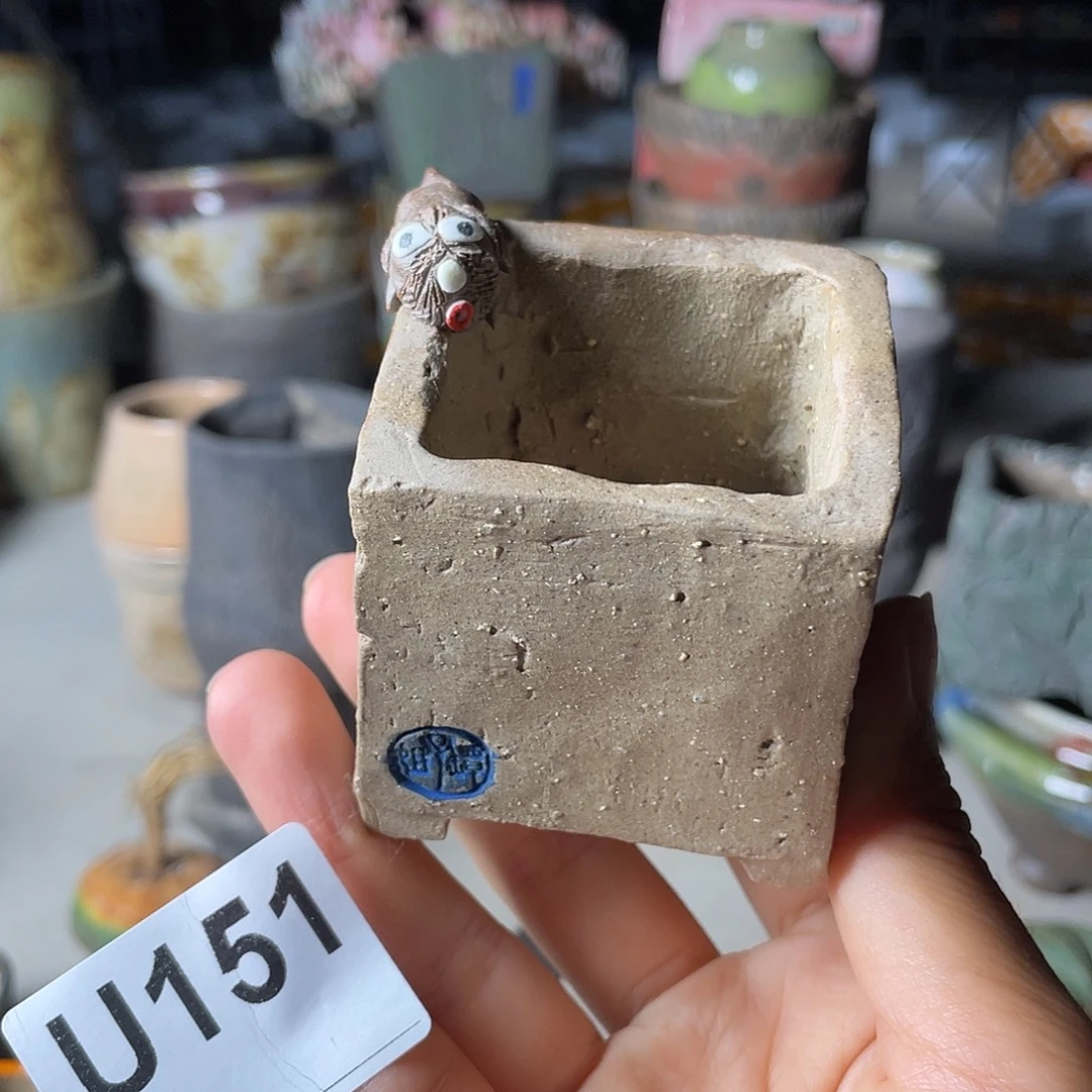 双十一限时福利 默认微次