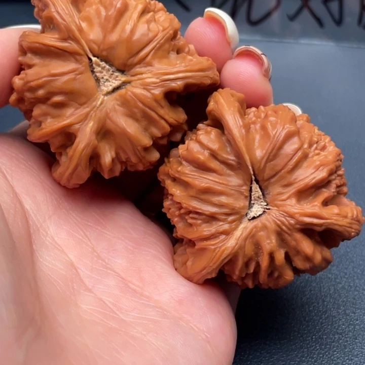 苝***笑文玩核桃吊坠白狮子