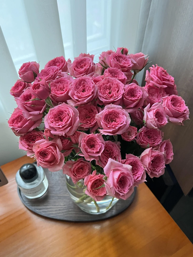 【集美的花】严选苏菲宝贝多头玫瑰鲜切花云南基地直发 顺丰包邮