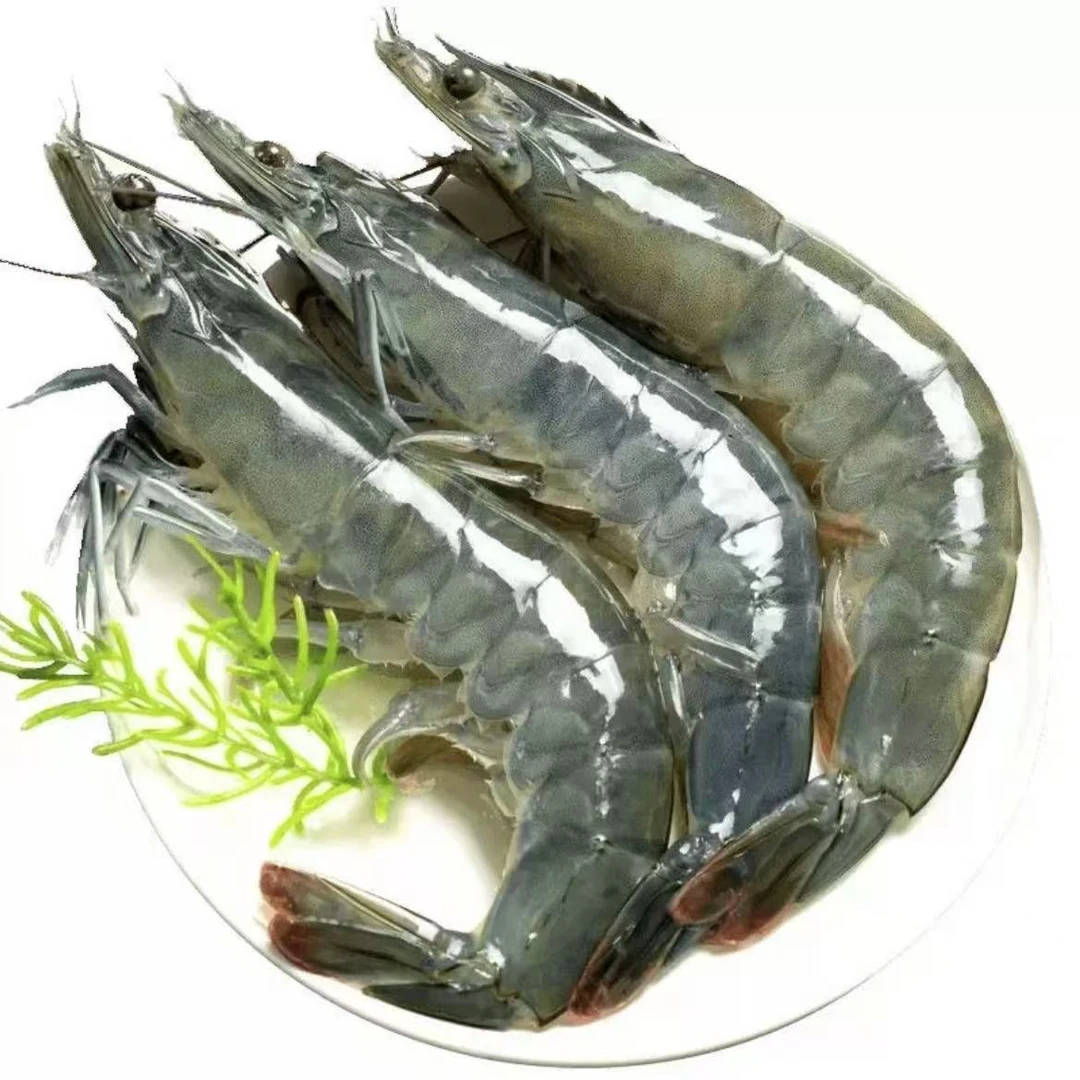 (青岛)大虾鲜活锁冻 12-15cm/只只分离 顺丰冷链 到手整箱五大斤