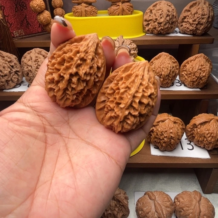 核桃招财鼠37全品5022