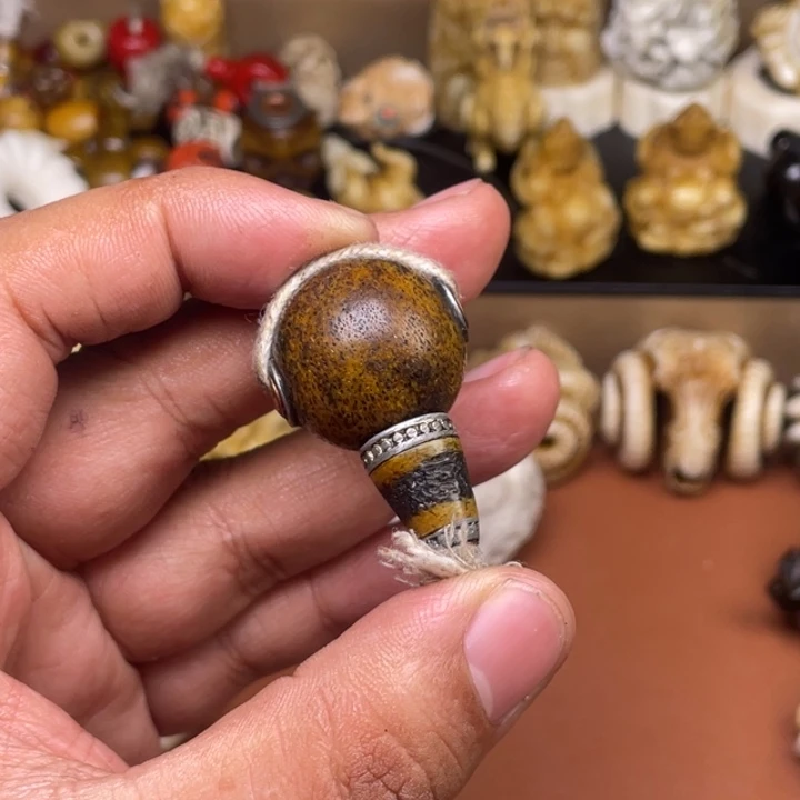 驼骨摆件人工养殖