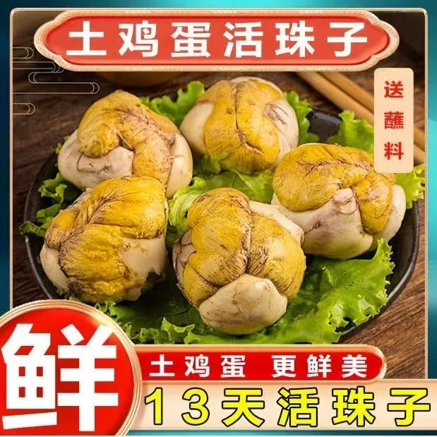 【主播补贴】13天新鲜活珠子五香香辣味开袋即食正宗钢化鸡胚蛋YF