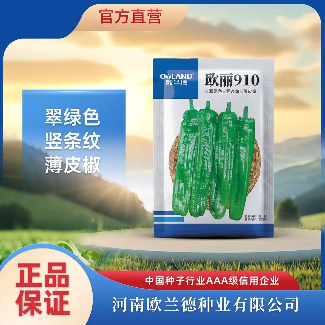 OULAND/欧兰德【欧丽910】精品苏椒大果丰产翠绿薄皮椒种子辣椒种子商品图