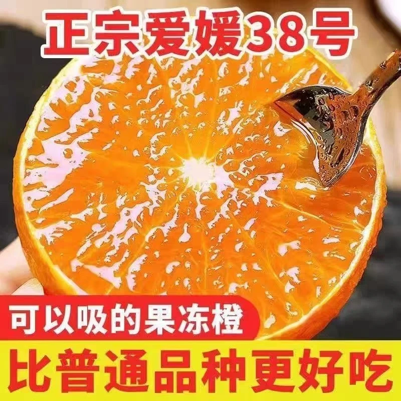 【香甜多汁爱媛38号果冻橙5斤果王】无籽无渣果王包邮到家