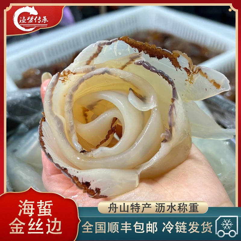 【海蜇金丝边白边5斤装】舟山海蜇 盐渍海蜇边 金丝边白边唇边 裙边
