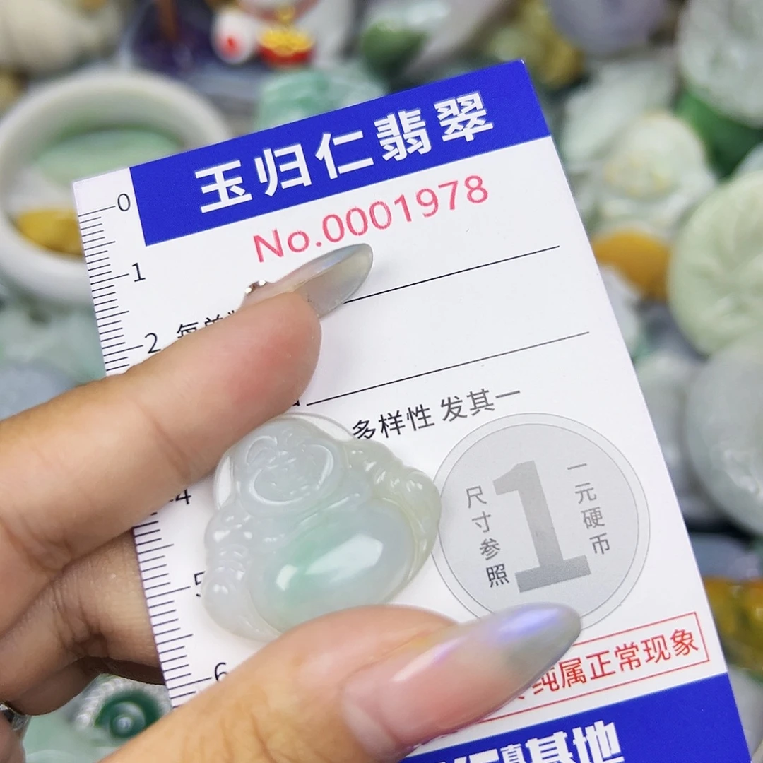 翡翠未镶嵌吊坠(不含链)111