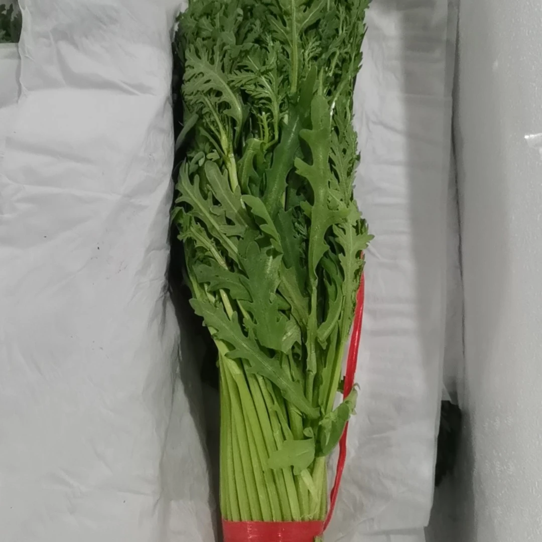茼蒿一捆约1.3斤