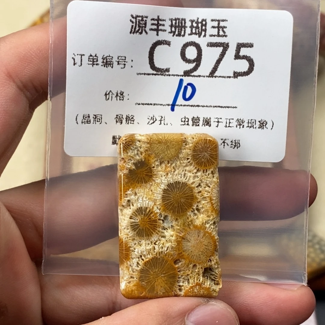h****硅化玉未镶嵌颈饰