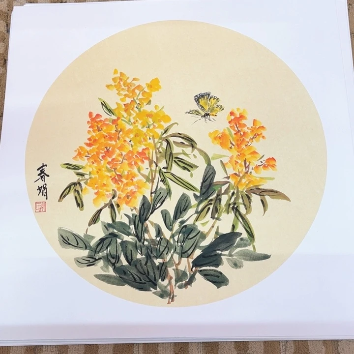 国画花鸟的翅膀和翅膀都是50.50