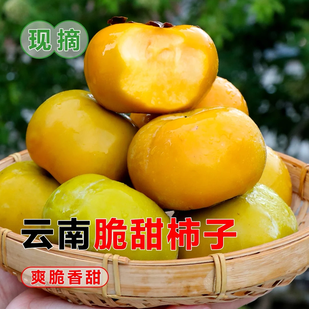 云南高原冰糖甜脆柿去皮后不涩口现采现发新鲜应季水果