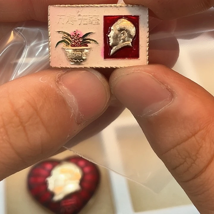 猫*一一一一一一一一一一一一一一一