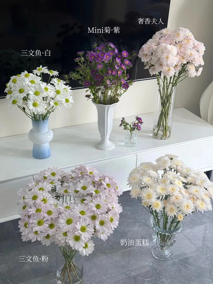 （曼曼）6号小菊1扎    20%防损  图片仅供参考   2单包邮