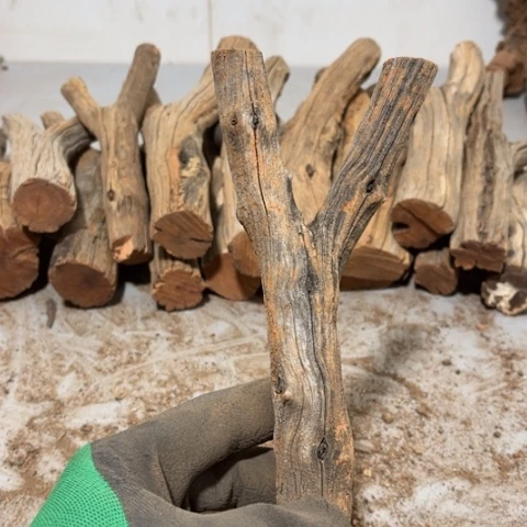 大果紫檀（缅甸花梨）邳****洗