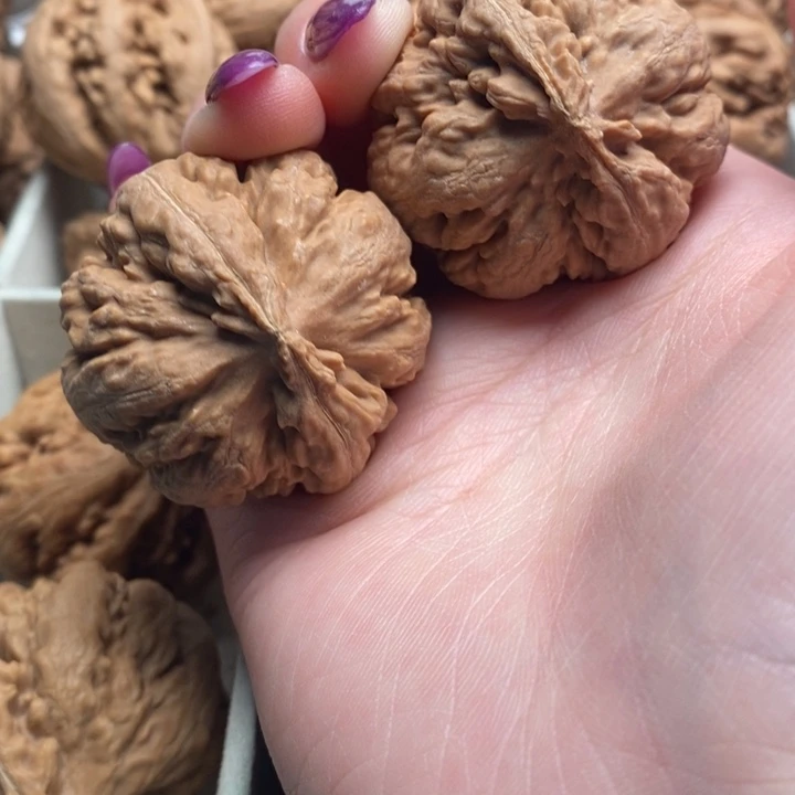 清***乐文玩核桃吊坠霸王龙