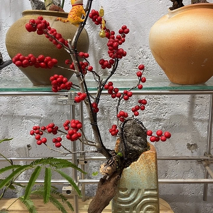 无花朵一物一拍一物一拍