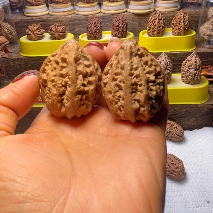 核桃11号车放漏漏漏