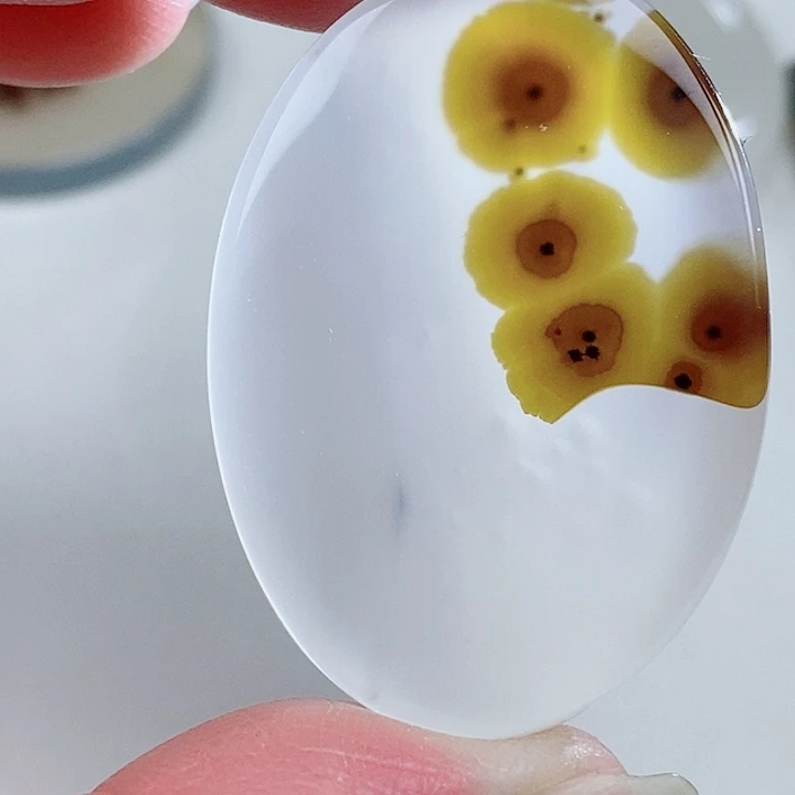 未镶嵌奇石玛瑙/玉髓狼**子