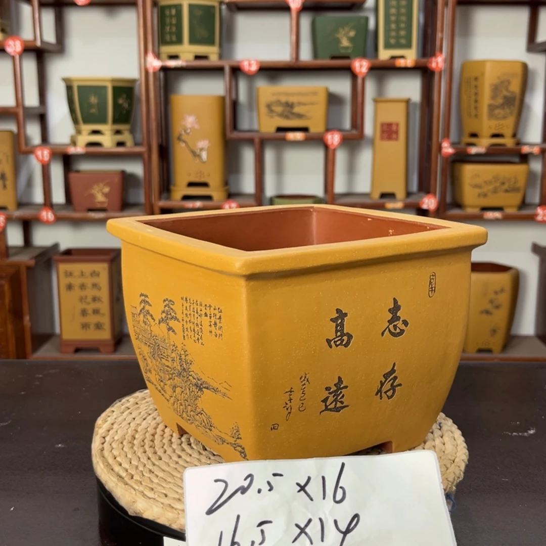 紫砂花盆紫砂花盆