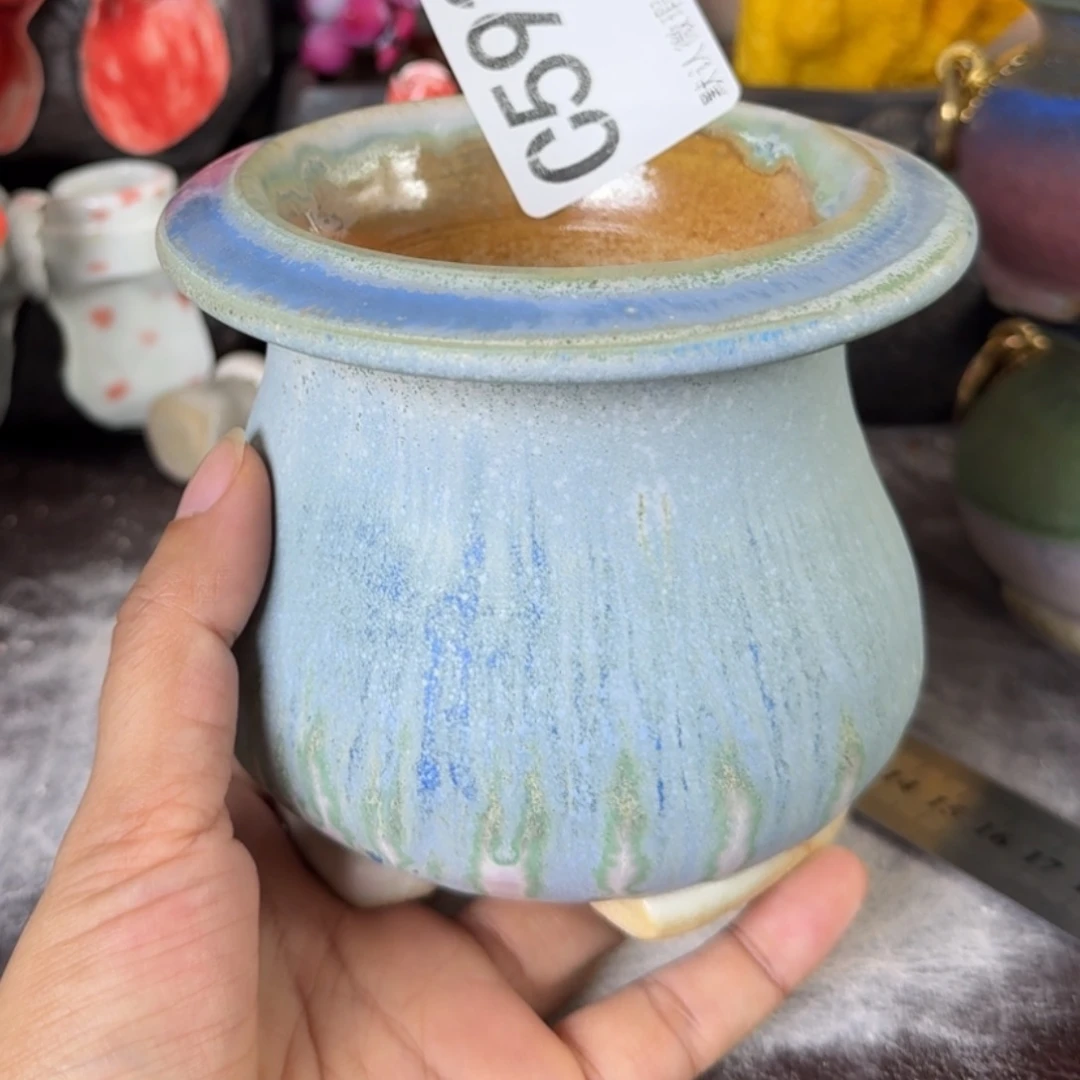 ʕ***：重庆小燕子欢迎那家593