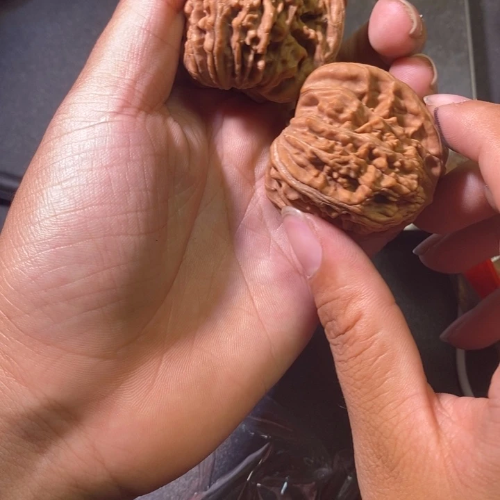 全品喜欢拍加1四座楼