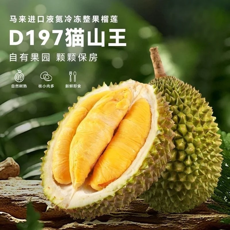 马来西亚猫山王榴莲精选双A【保5房】树熟新季果整果液氮D197