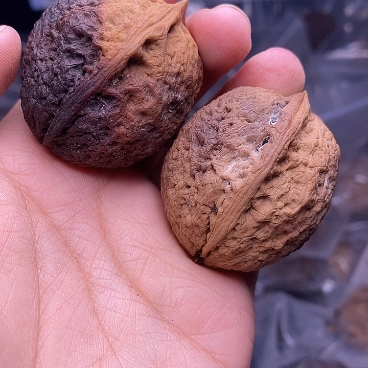 把件文玩核桃   126