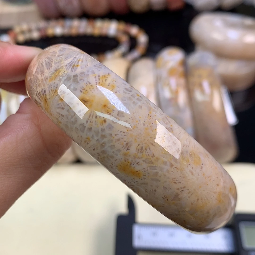 【闪购商品】颈饰未镶嵌硅化珊瑚（珊瑚玉）47号上新60.8圈