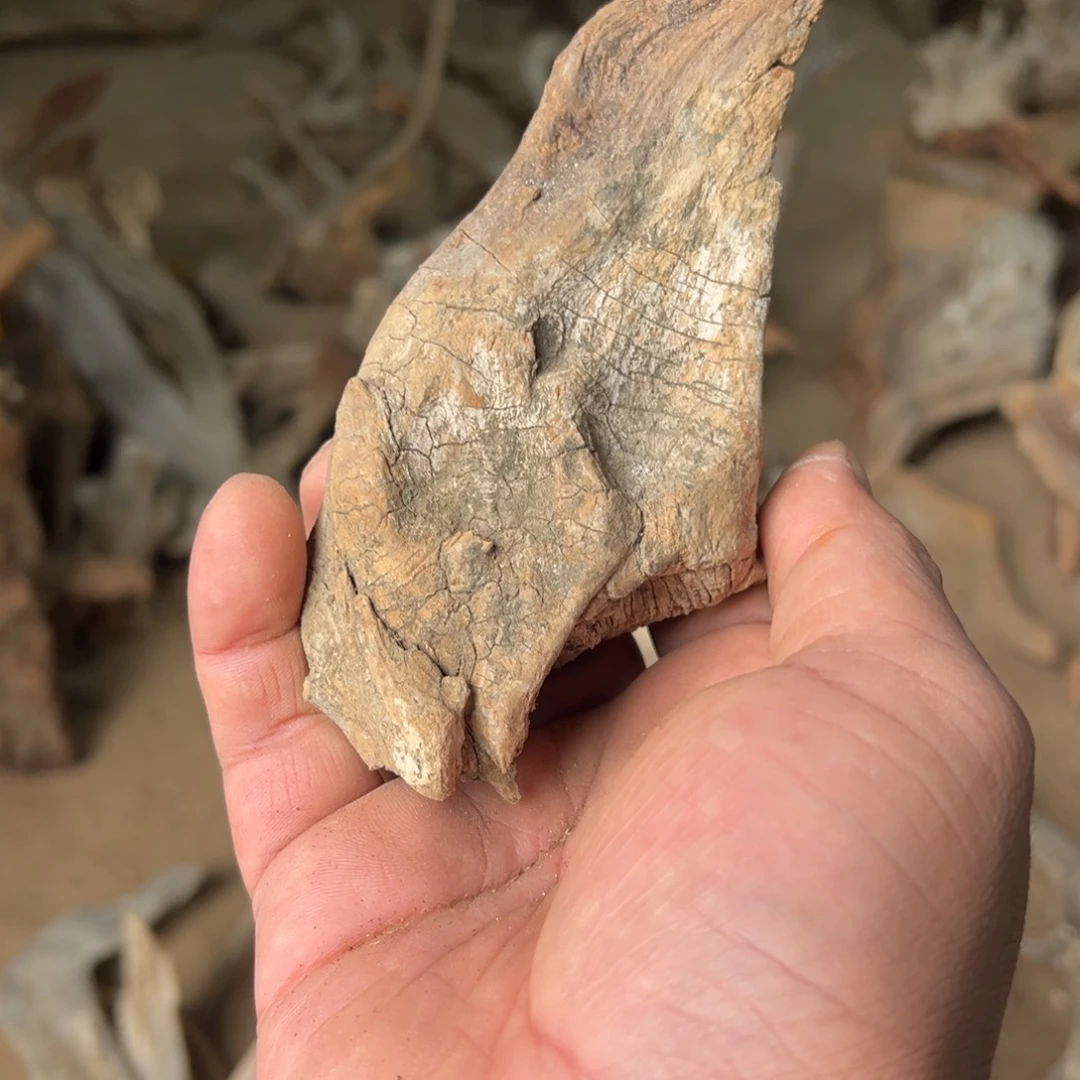 痴***墨柏木（崖柏）文玩根雕