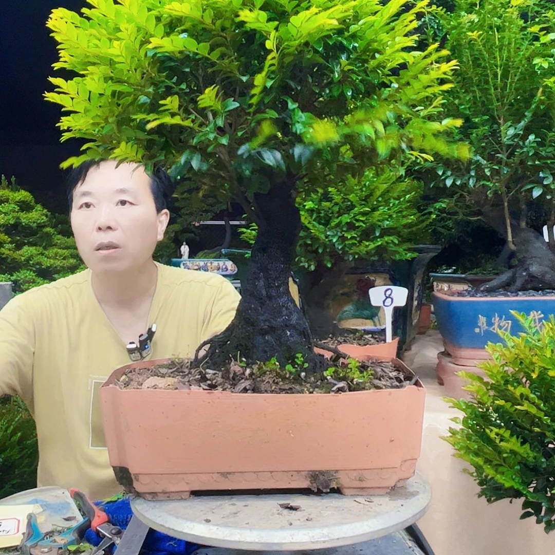 无花朵大*河12345678