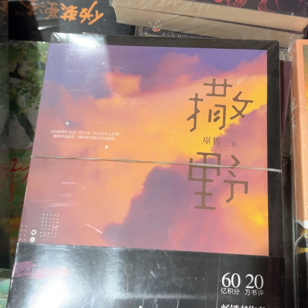 撒野新书全套福利
