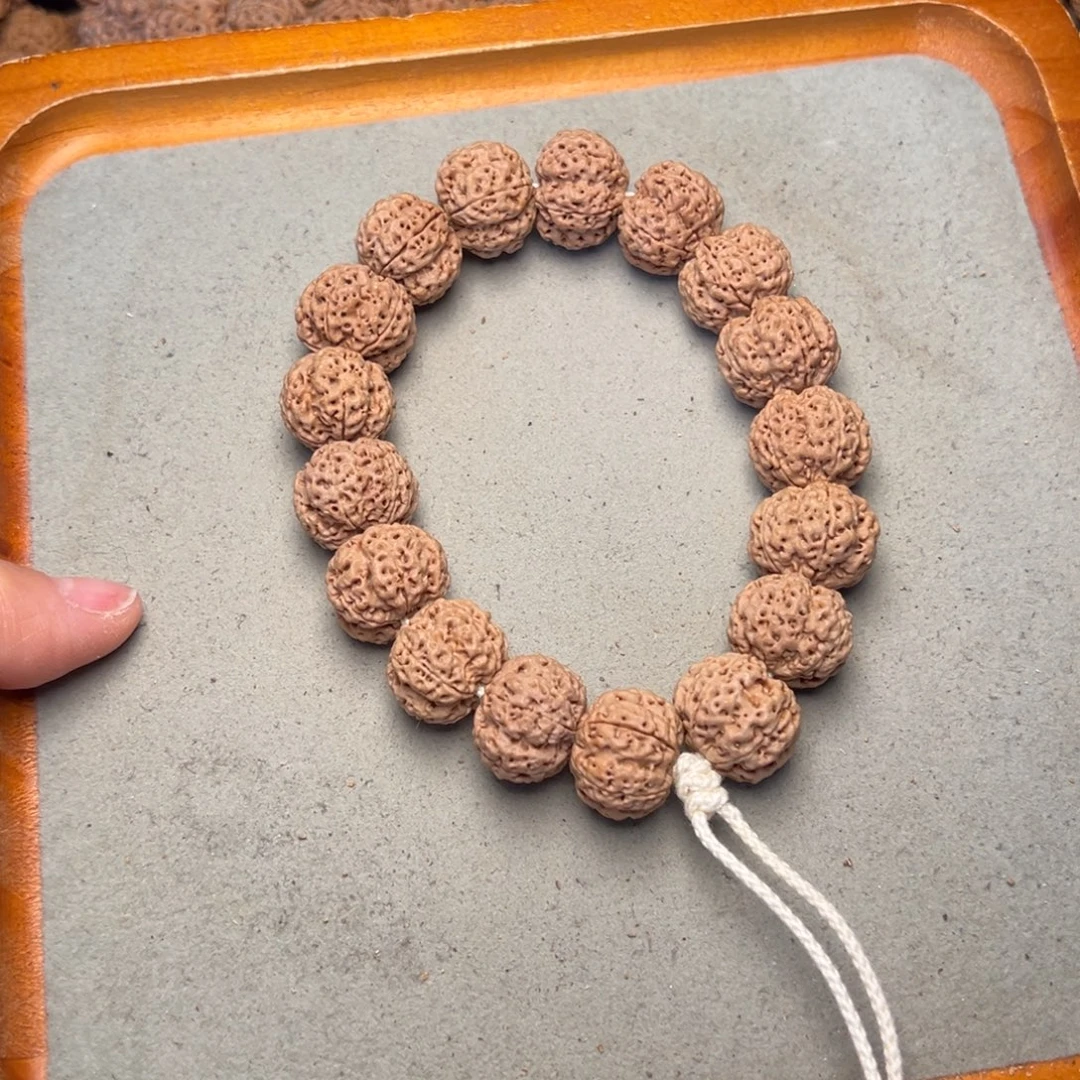 菩提33号金刚菩提满肉梅花梁19超头