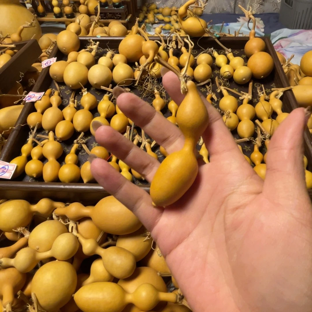 翔**吻花花啦咯摸摸小心翼翼问一下