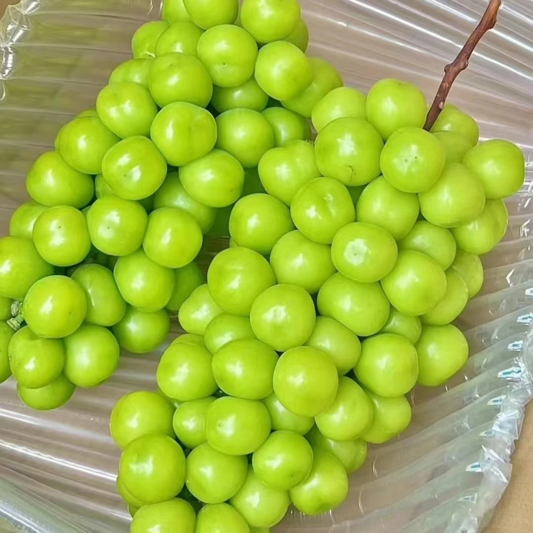 【顺丰冷链】云南正宗头茬阳光玫瑰葡萄现采现摘3-5斤装新鲜脆甜