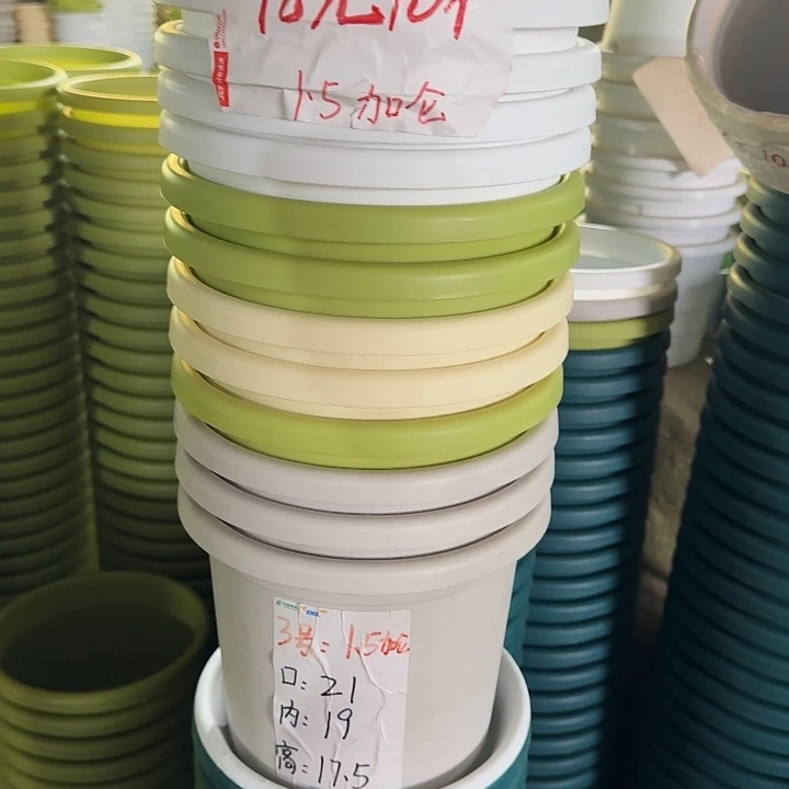 四季3#口径21灰白10个无托