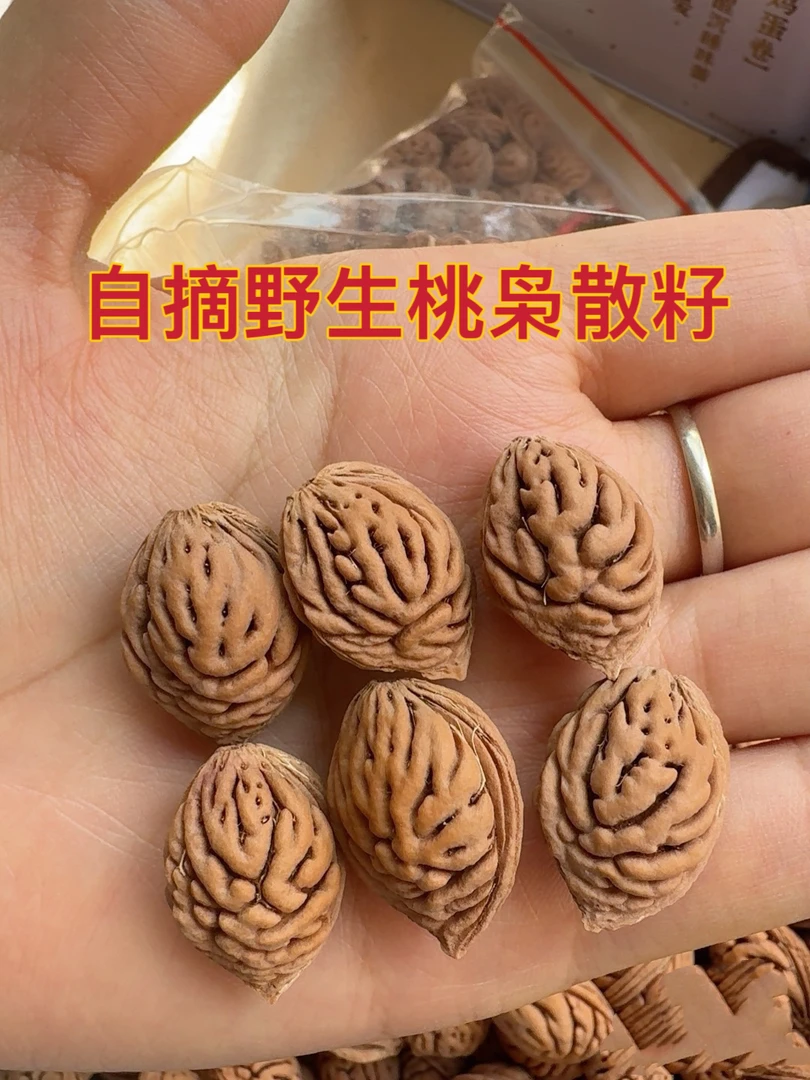 正宗桃枭去皮桃核打孔散籽野生手串吊坠饰品桃核编织男女本命年