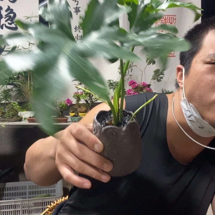 摆****无花朵退款拉黑一物一拍127