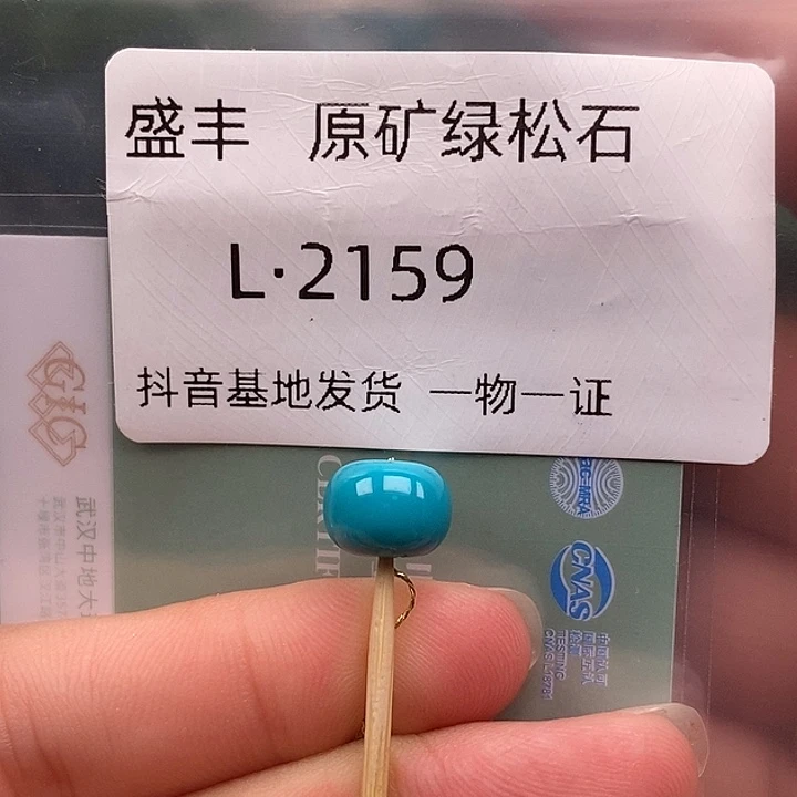 绿松石未镶嵌珠宝奇石9.3✖️6.9