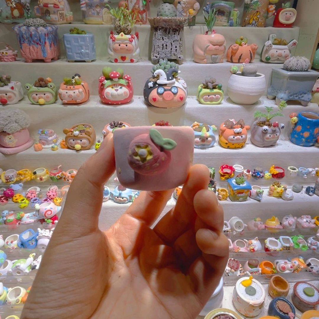 L****.L宝专属链接拍拍