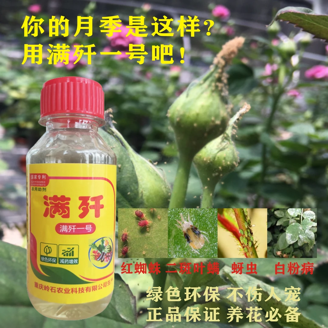 满歼一号抗性红蜘蛛专用农用助剂月季蔬菜花卉防控3000倍